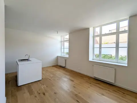 Beautiful 1-bedroom flat + office in a listed building