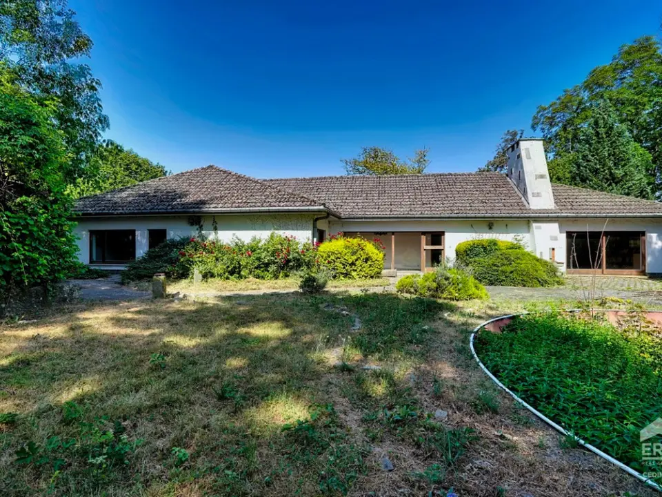 Villa de plain-pied dans un écrin de verdure