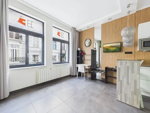 Hall Saint Géry - Furnished Studio